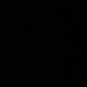 Meet your Posher, Candace